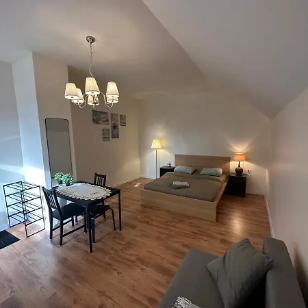 公寓 Kart 3 里加