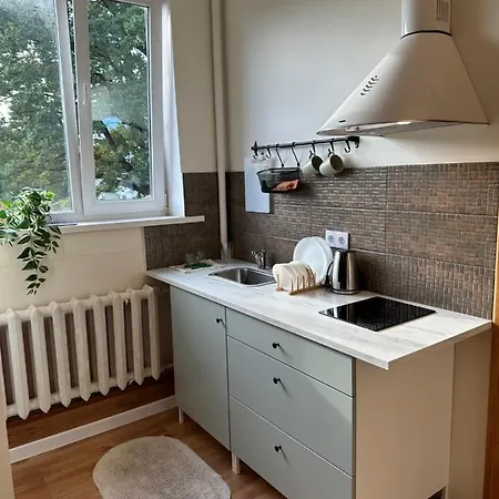 Kart 3 公寓 里加